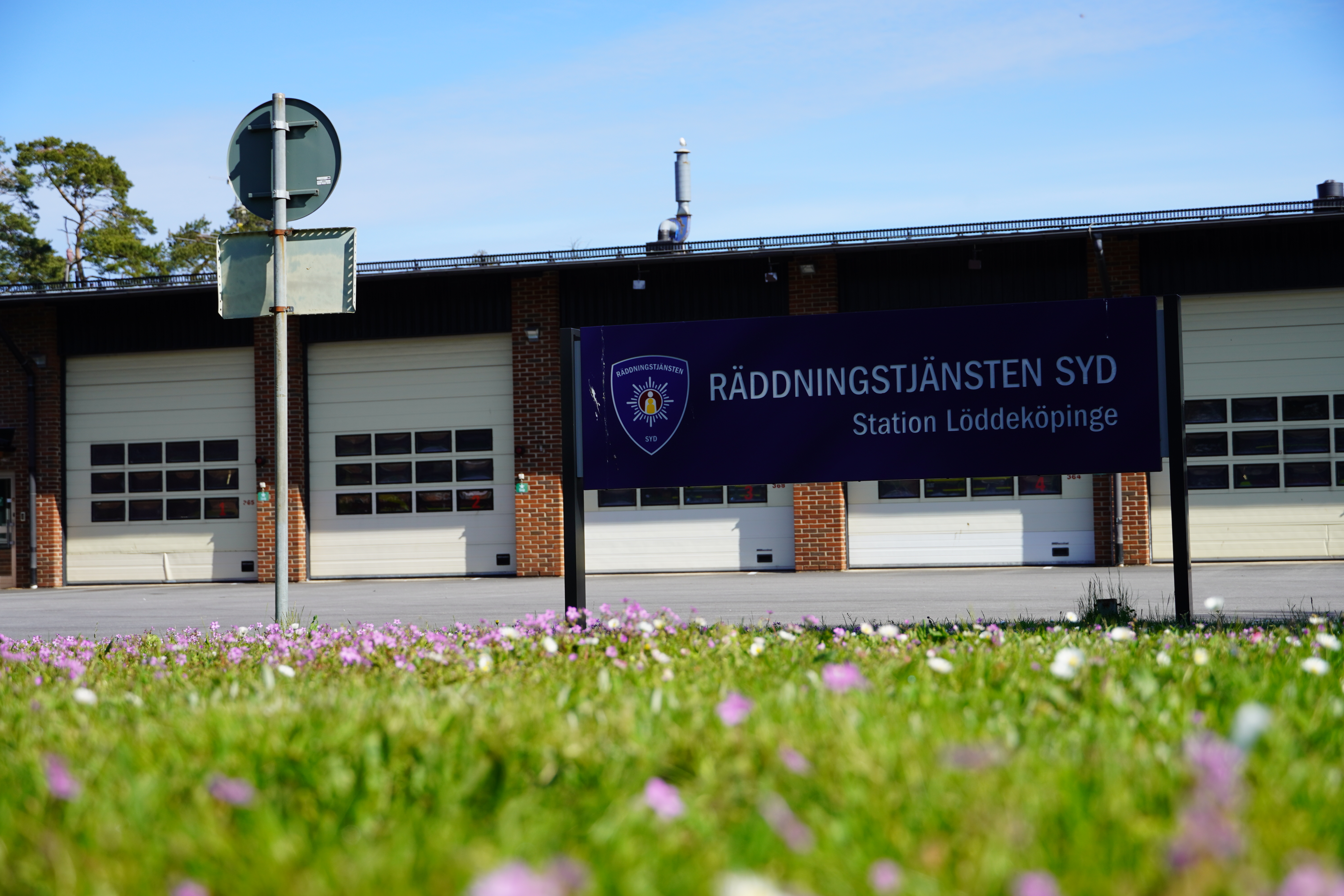 L&#xF6;ddek&#xF6;pinge