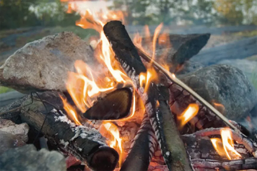 Vedträn som brinner i en grillplats utomhus